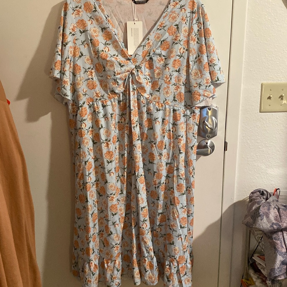 NWT 22-24 dress
